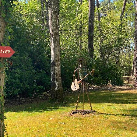 Le Petit Poulailler Au Beau Milieu Des Pins Villa Lacanau Bagian luar foto