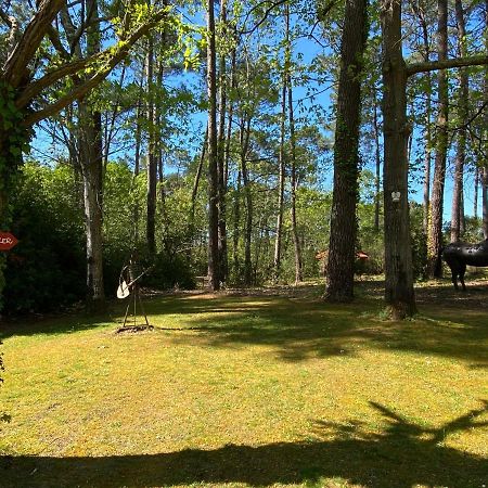 Le Petit Poulailler Au Beau Milieu Des Pins Villa Lacanau Bagian luar foto