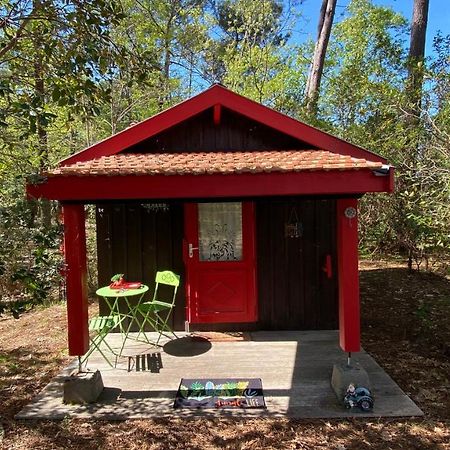 Le Petit Poulailler Au Beau Milieu Des Pins Villa Lacanau Bagian luar foto
