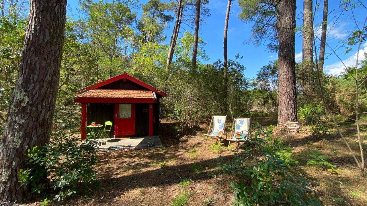 Le Petit Poulailler Au Beau Milieu Des Pins Villa Lacanau Bagian luar foto