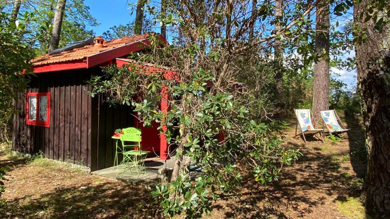 Le Petit Poulailler Au Beau Milieu Des Pins Villa Lacanau Bagian luar foto