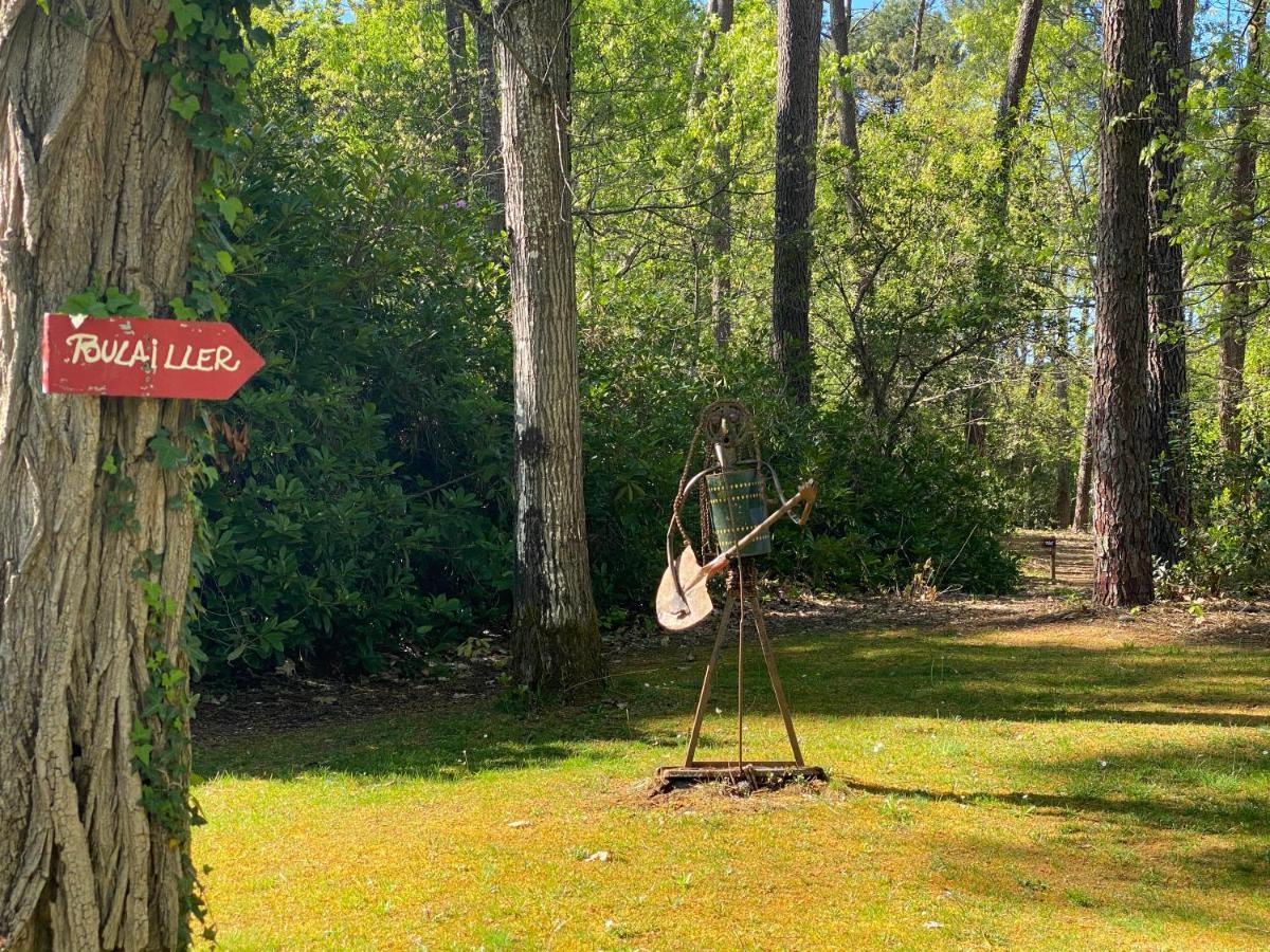 Le Petit Poulailler Au Beau Milieu Des Pins Villa Lacanau Bagian luar foto
