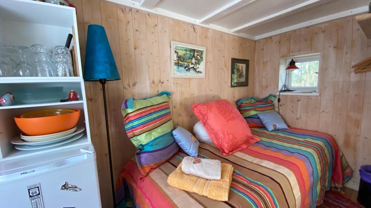 Le Petit Poulailler Au Beau Milieu Des Pins Villa Lacanau Bagian luar foto