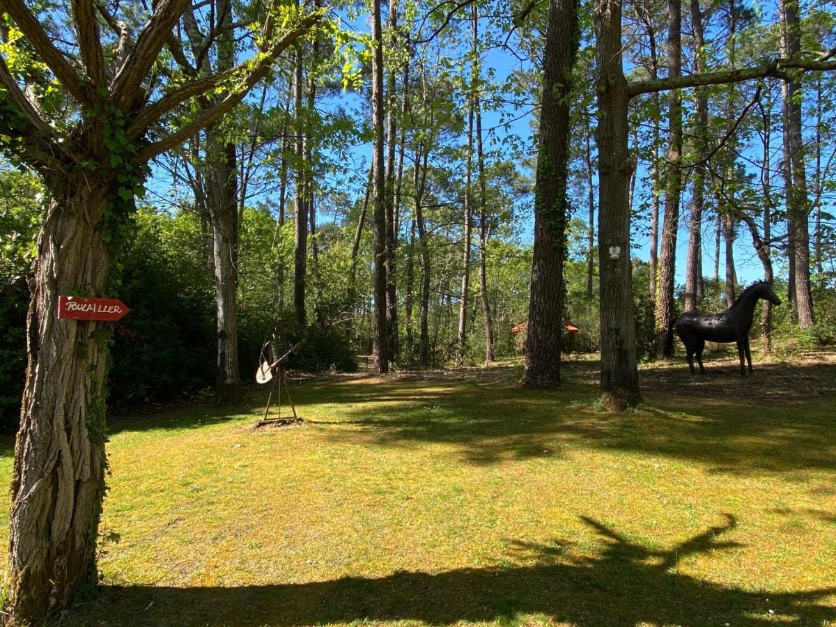 Le Petit Poulailler Au Beau Milieu Des Pins Villa Lacanau Bagian luar foto