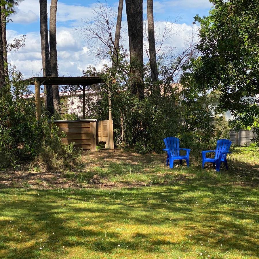 Le Petit Poulailler Au Beau Milieu Des Pins Villa Lacanau Bagian luar foto