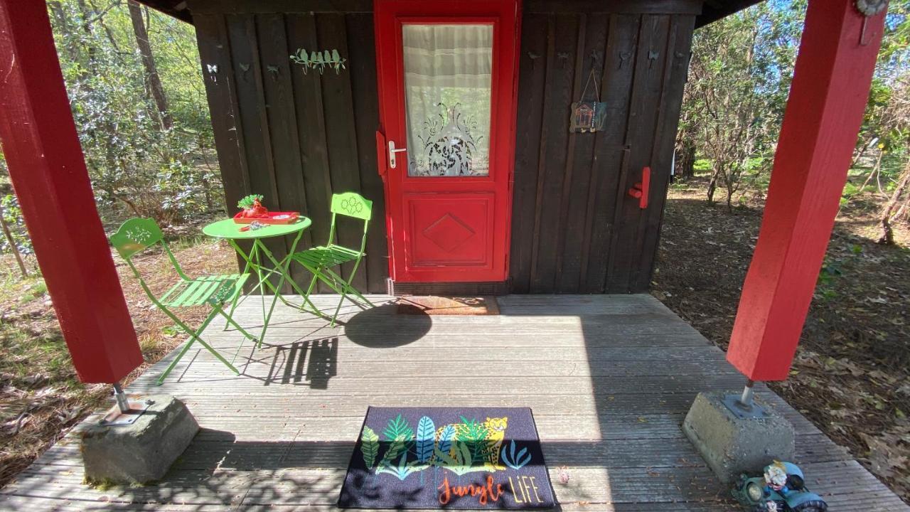 Le Petit Poulailler Au Beau Milieu Des Pins Villa Lacanau Bagian luar foto
