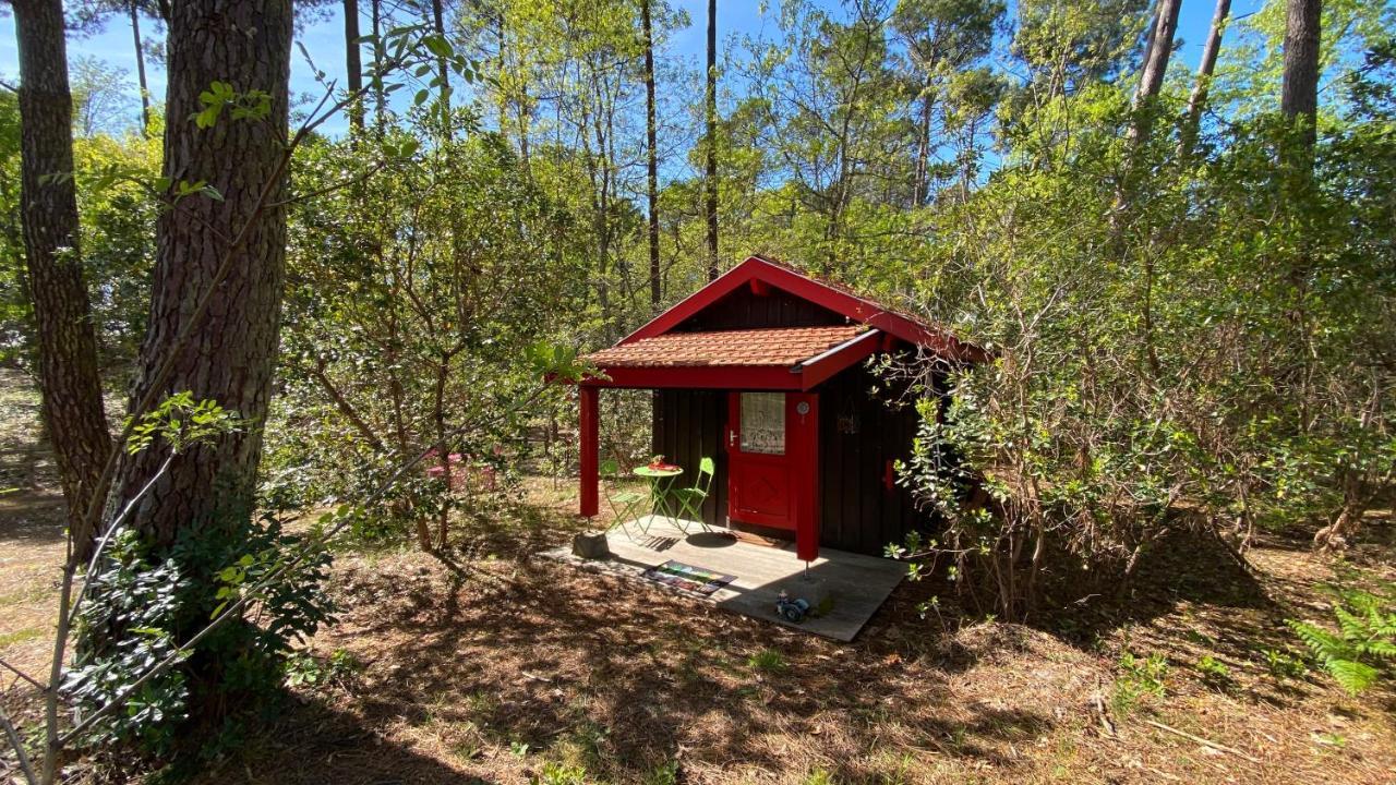 Le Petit Poulailler Au Beau Milieu Des Pins Villa Lacanau Bagian luar foto