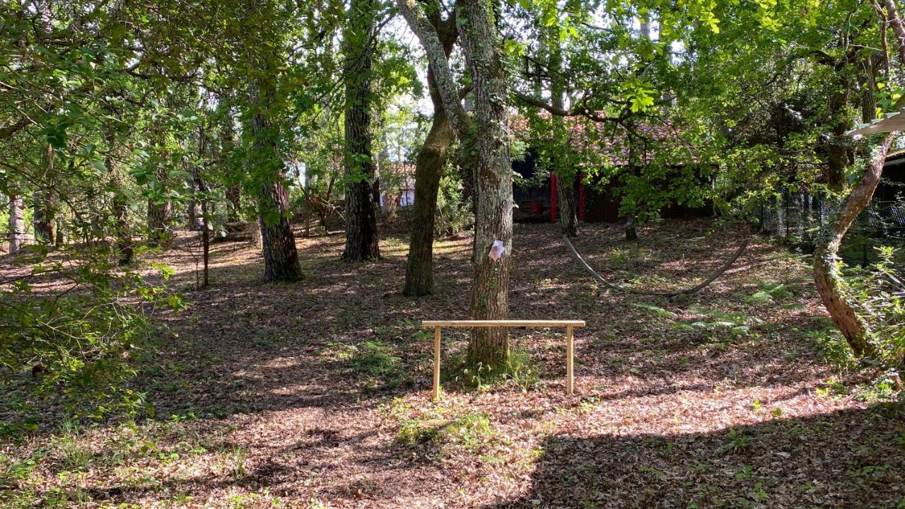 Le Petit Poulailler Au Beau Milieu Des Pins Villa Lacanau Bagian luar foto