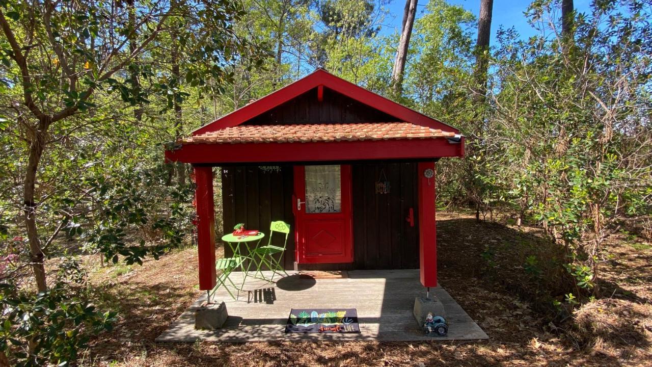 Le Petit Poulailler Au Beau Milieu Des Pins Villa Lacanau Bagian luar foto