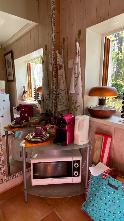 Le Petit Poulailler Au Beau Milieu Des Pins Villa Lacanau Bagian luar foto