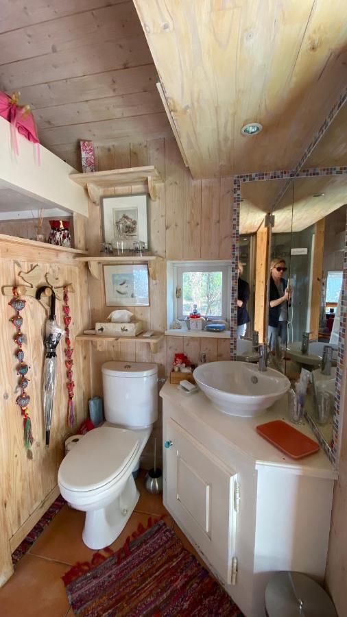 Le Petit Poulailler Au Beau Milieu Des Pins Villa Lacanau Bagian luar foto