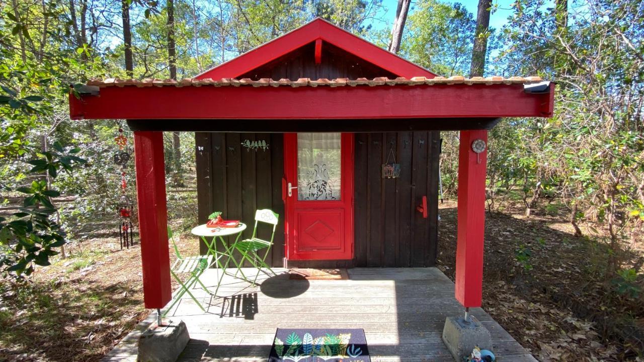 Le Petit Poulailler Au Beau Milieu Des Pins Villa Lacanau Bagian luar foto