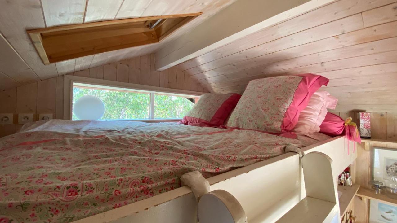 Le Petit Poulailler Au Beau Milieu Des Pins Villa Lacanau Bagian luar foto