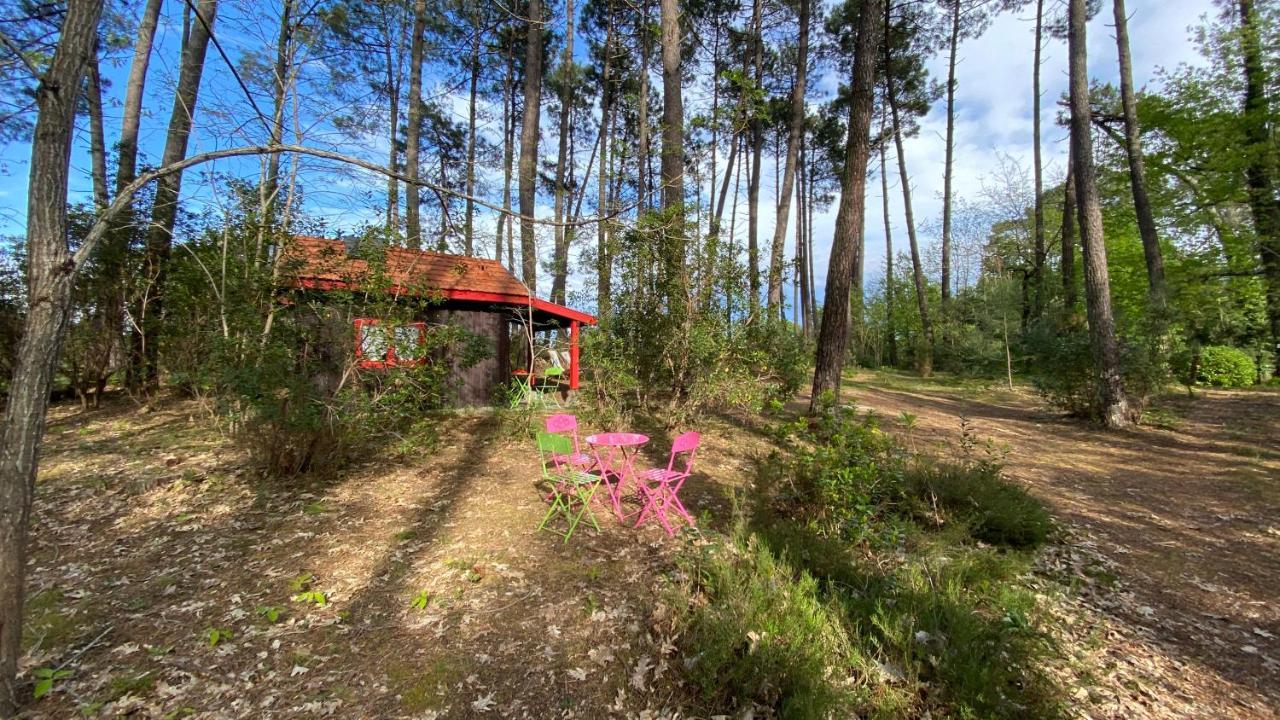 Le Petit Poulailler Au Beau Milieu Des Pins Villa Lacanau Bagian luar foto