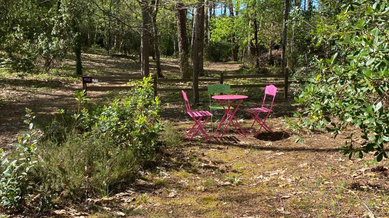 Le Petit Poulailler Au Beau Milieu Des Pins Villa Lacanau Bagian luar foto